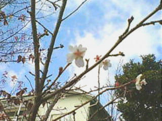 20071221100913.jpg